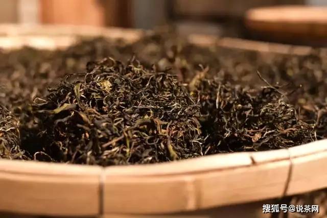 普洱茶老料新压骗局真相大揭秘：如何辨别真假？