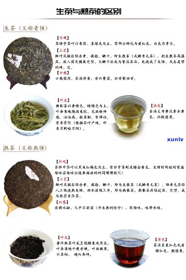 新 普洱茶中的独特口感：小粒粒状糯米香，你知道是什么茶吗？