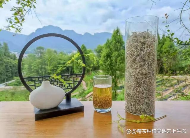 新 探索莓茶的无限搭配可能：与哪些饮品和食物完美融合？