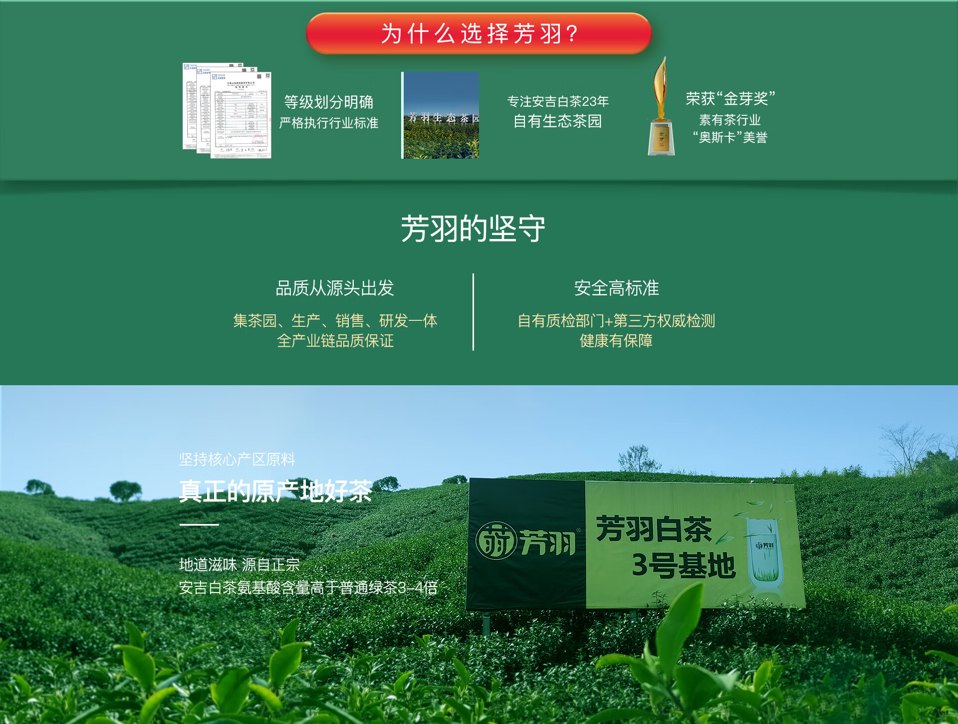 芳茗茶叶有机茶怎么样北京