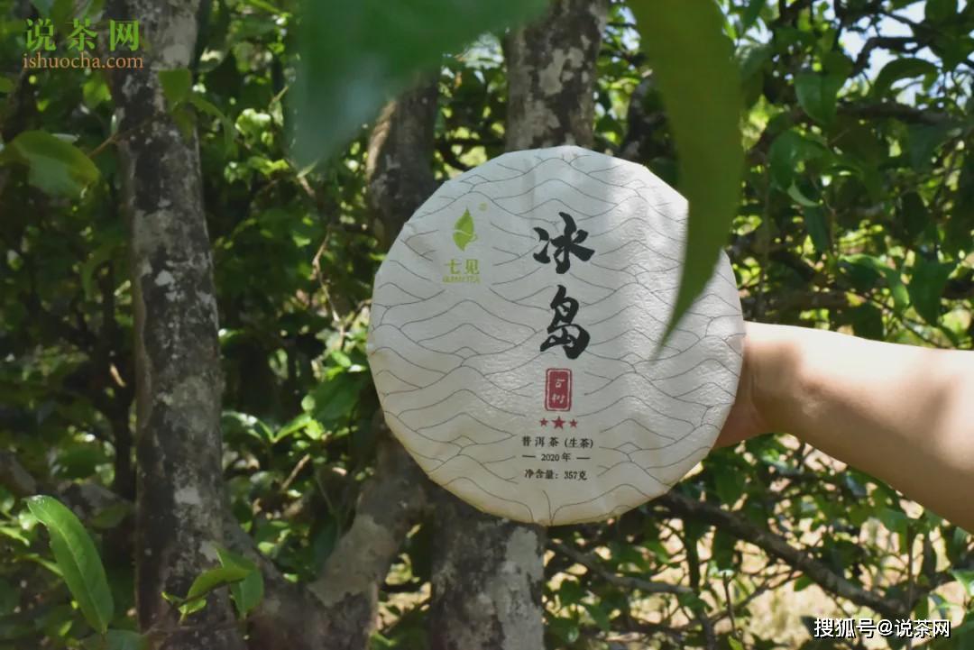 勐库冰岛茶：一款源自高山原生态的优质红茶介绍