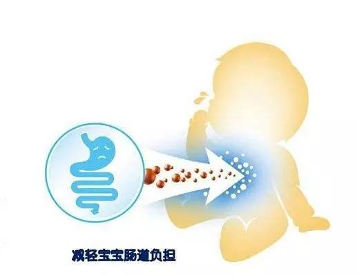 小儿七星茶与益生菌同时服用：可能的相互作用和注意事项