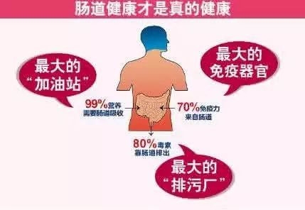 益生菌和七星茶：同时服用的适宜性、差异性与饮用时间