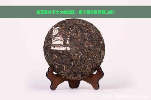 普洱茶的尺寸选择：了解各种尺寸对口感和品质的影响