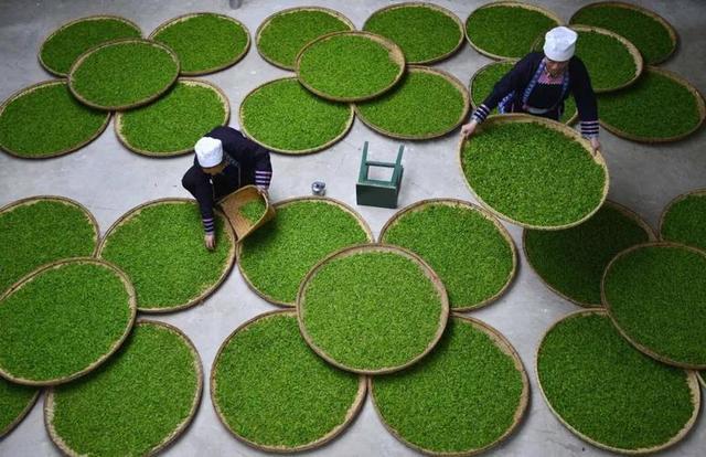 普洱茶泡的颜色变淡或不红了，可能是品质问题吗？如何判断普洱茶是否过期？