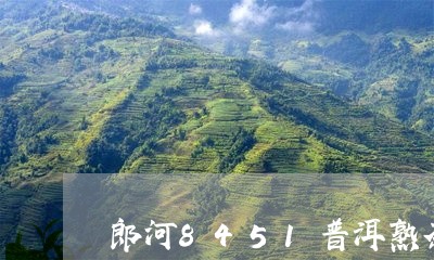 郎河普洱茶熟茶9599:品质、产地、制作工艺与口感的全面解析