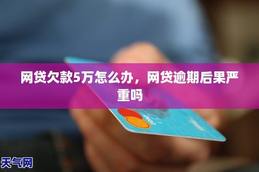 网贷欠款21万怎么办