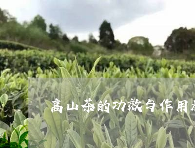 高山茶的功效与作用，禁忌及特点