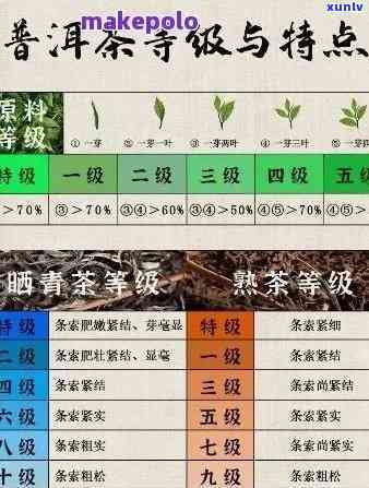 揭秘普洱茶编号的神秘面纱：品质、年份与文化内涵的数字密码