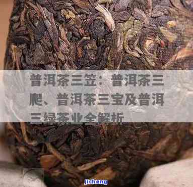 普洱茶的三气：哪三气？怎么读？茶气是什么？普洱茶三笠、三韵详解