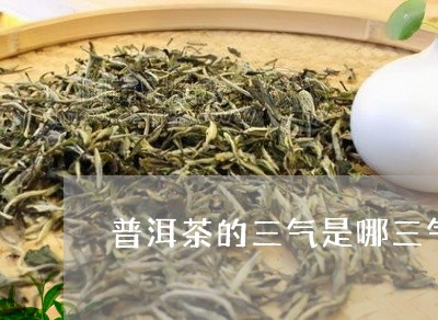 普洱茶的三气：哪三气？怎么读？茶气是什么？普洱茶三笠、三韵详解