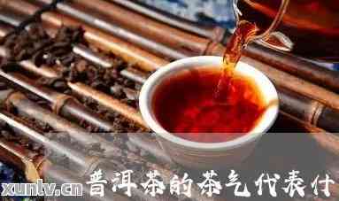 普洱茶的三气：哪三气？怎么读？茶气是什么？普洱茶三笠、三韵详解