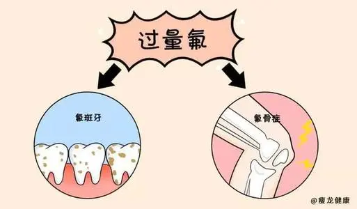 氟中风险：喝茶是否会引发？了解你每天的茶水摄入量