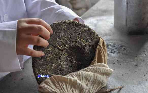 普洱茶制作：揉茶时间的关键因素与技巧