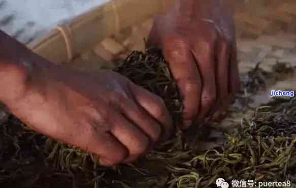 普洱茶制作：揉茶时间的关键因素与技巧