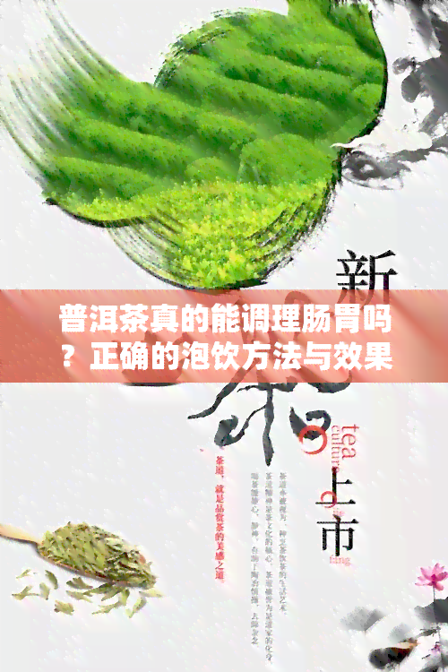 普洱茶的肠道清洁功效及其科学原理解析