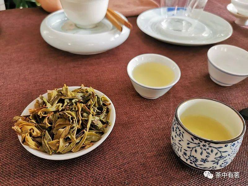 探讨喝茶与上火关系的新角度：茶叶种类、冲泡方法及个人体质的影响