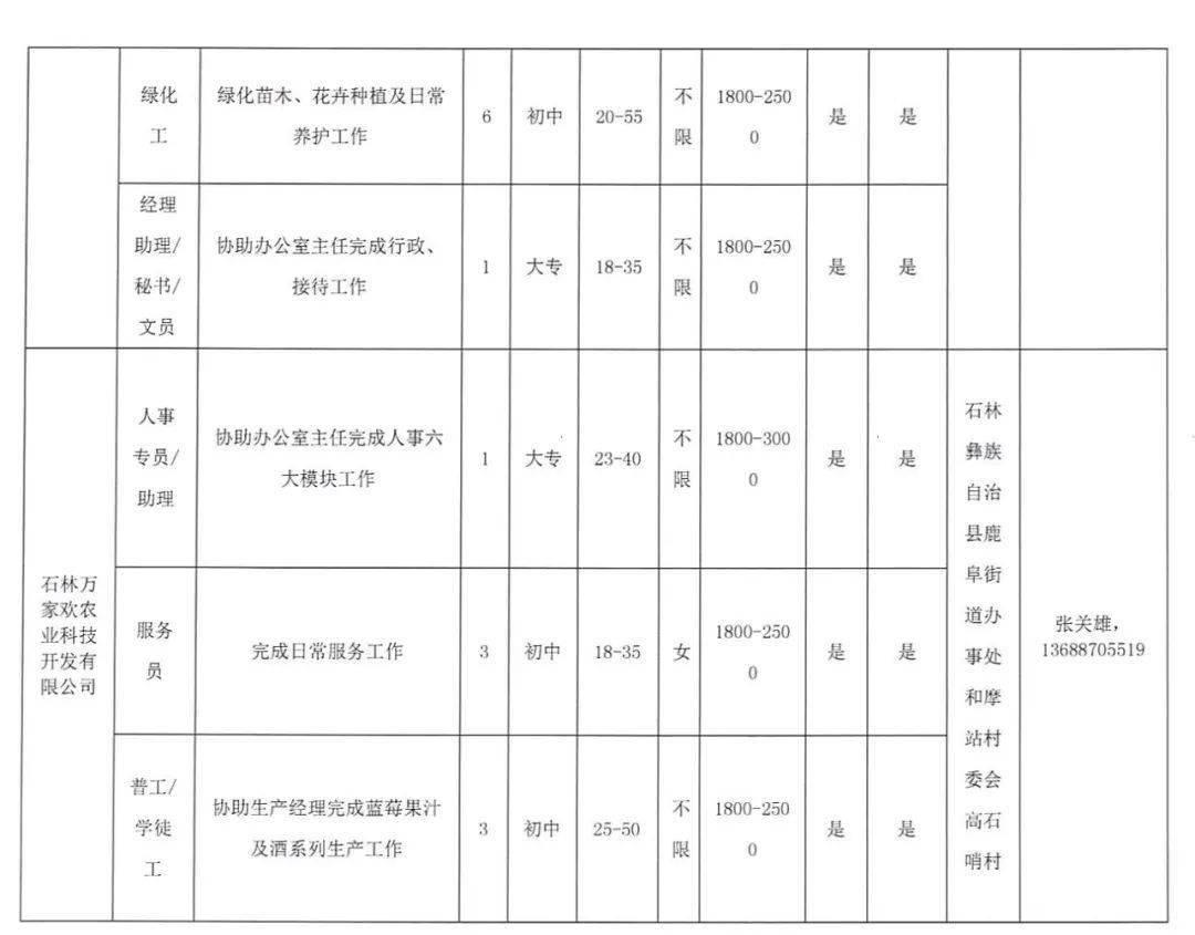 曲靖普洱茶传片制作团队招聘：职位、职责、要求等全面解析