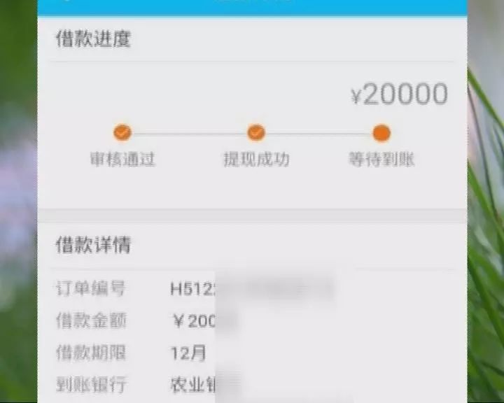 网贷100万借不回来怎么办