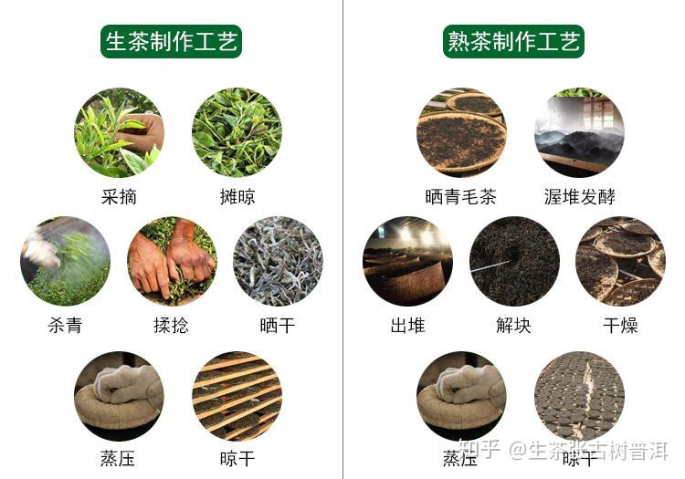 深入解析普洱茶两大名章：班章与老班章的异同点