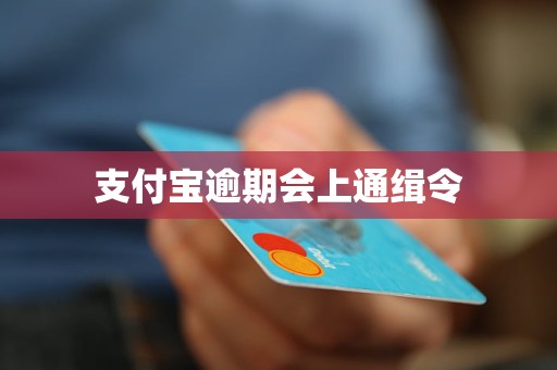 支付宝逾期会上通缉令