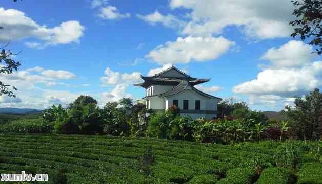 新 '云南联普洱茶园官方网站 - 品鉴优质普洱茶，感受茶文化之美'