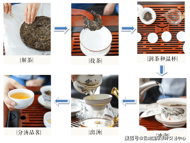 从产地到冲泡：全面了解普洱茶昔归的历、制作工艺与品鉴技巧