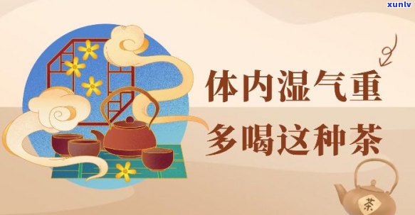 寒湿体质人群的茶饮选择：缓解湿气困扰，提升适度的全攻略