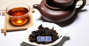 普洱茶的功效与作用药材汇总：普洱茶的多种功效及其相关药材。