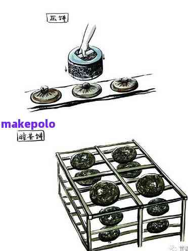 从制作到品鉴：普洱茶饼罐瓷的全方位解析与直播教学