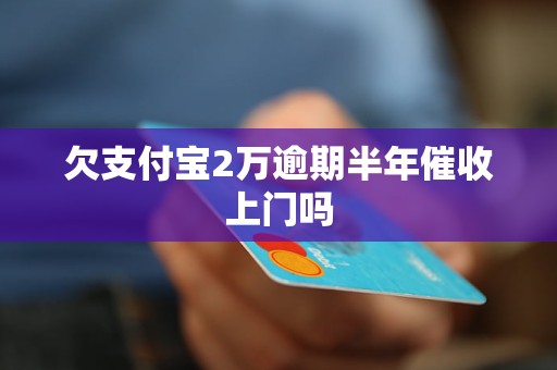 支付宝欠8w半年怎么办