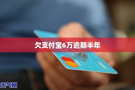 支付宝欠8w半年怎么办