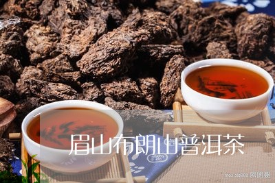 普洱茶布朗山茶叶