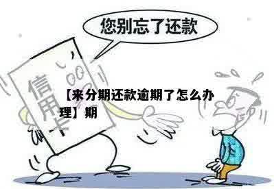 分来期逾期现在无法还款怎么办