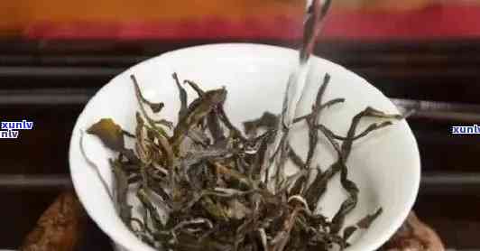 冰岛古树普洱茶生茶：一款稀有茶叶的价格解析与品鉴指南