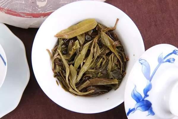 普洱茶春秋冬，各具特色口感探究