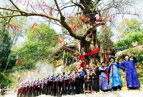 木叶醇年份茶10年陈普洱熟茶：古树韵味，陈年佳品，醇厚口感，收藏投资之选