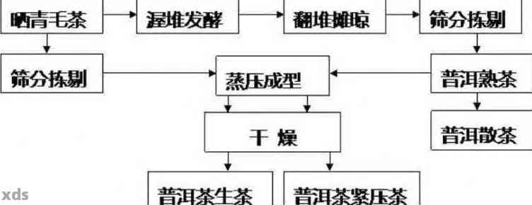 普洱茶的起源、种类、制作工艺及品饮方法全面解析