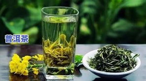 请简述茶叶的六大类别，包括绿茶、红茶、乌龙茶、白茶、黄茶和黑茶。