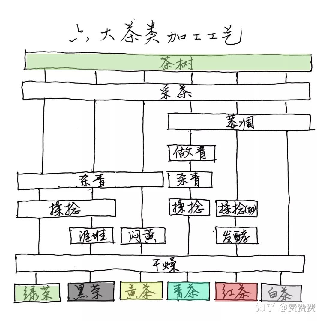 简述茶叶的基本分类