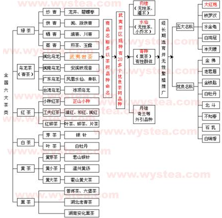 简述茶叶的基本分类