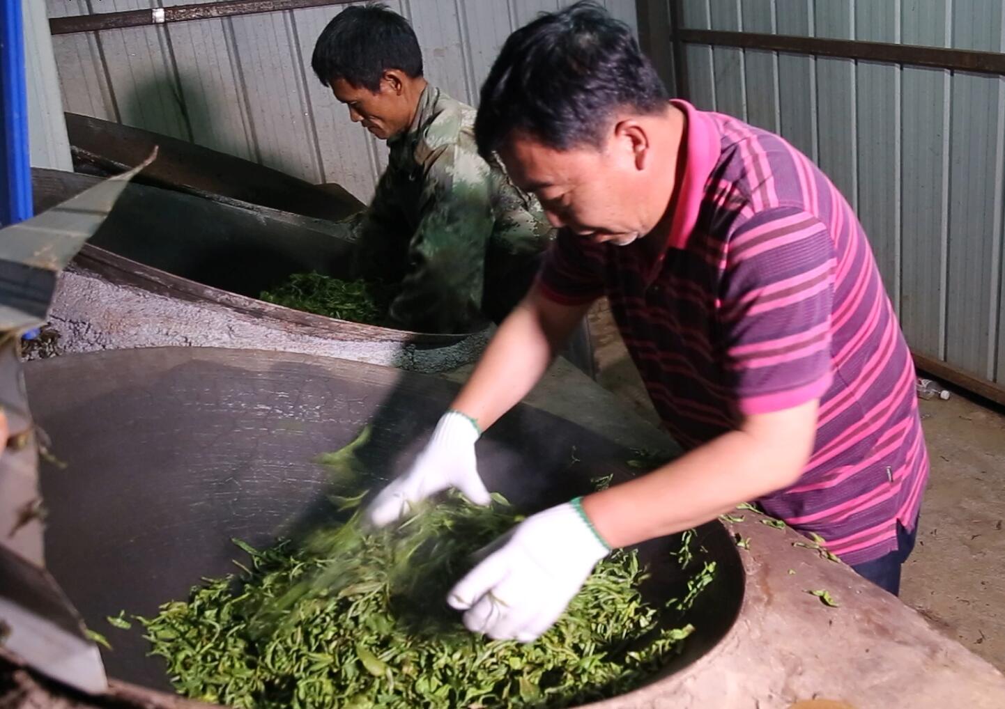 普洱茶品质好原料一芽二叶：优质茶叶的选择和鉴别方法