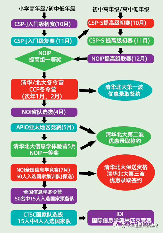 玉勒子佩戴方式全面解析：横戴与竖戴的优缺点对比，帮助您做出更佳选择