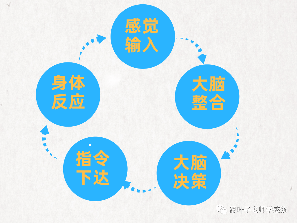 玉勒子佩戴方式全面解析：横戴与竖戴的优缺点对比，帮助您做出更佳选择