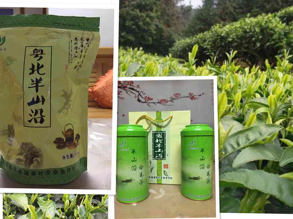 正山小种：适合送礼的优质茶叶，品味经典，尊享长辈