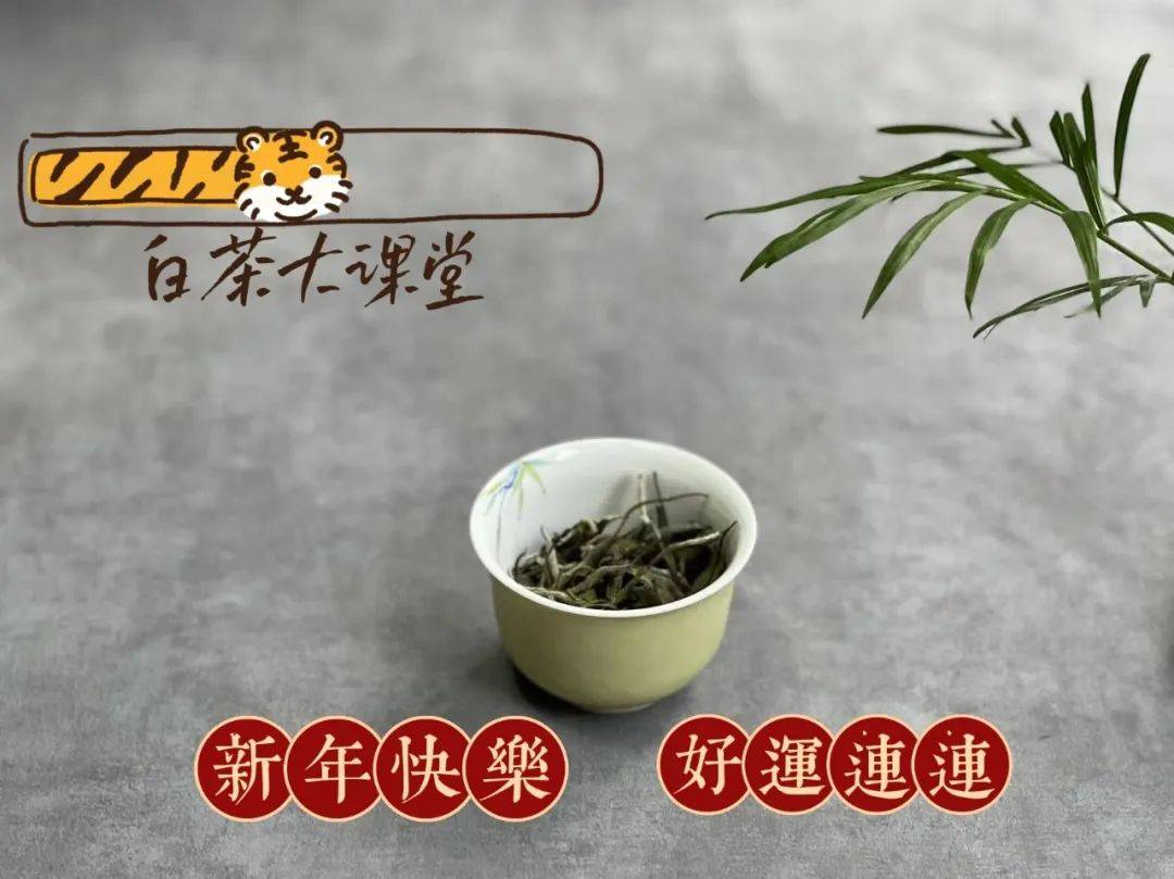 适合送长辈的茶叶