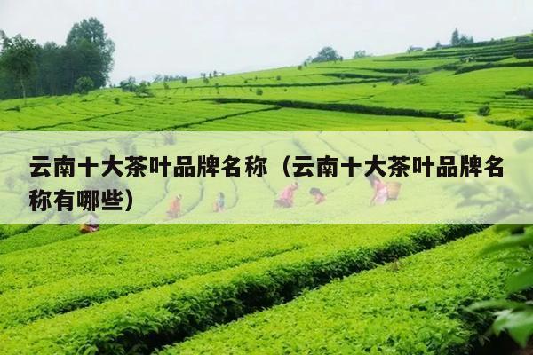 云南十大茶厂是哪十个