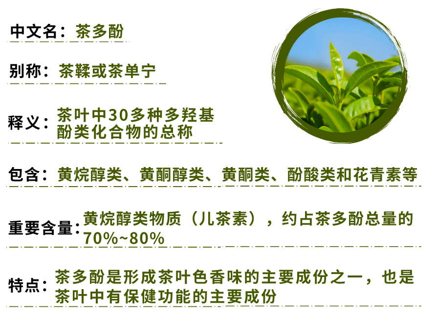 冠心病人饮茶指南：哪些茶对心血管有益？如何选择和搭配茶叶以降低风险？