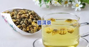 山楂白菊普洱茶