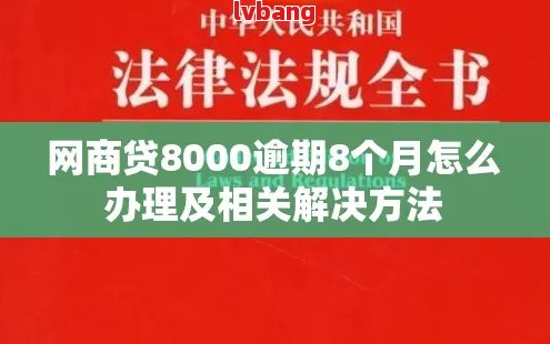 网商贷8000逾期4个月如何处理